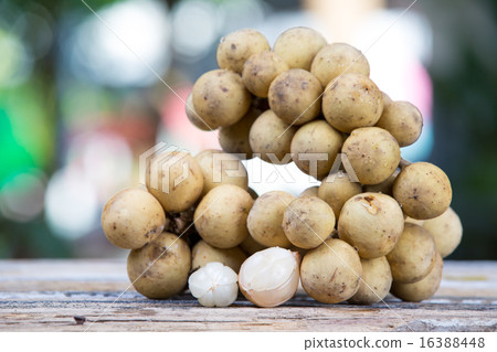 Lansium demesticum Corr fruit Lansium demesticum Corr fruit 16388448