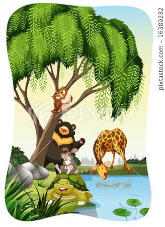 Nature Nature 16389282