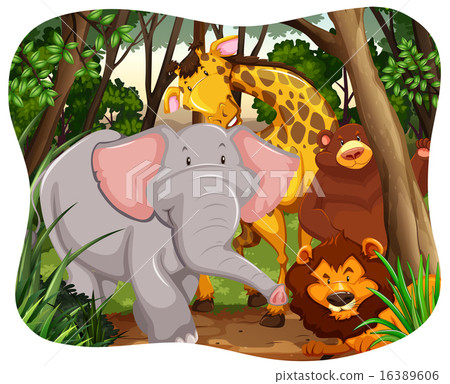 Wildlife 16389606