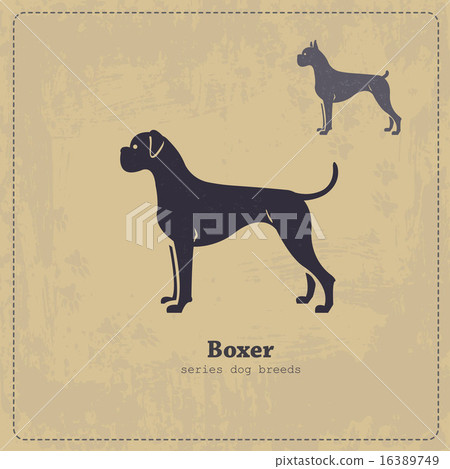 Boxer dog silhouette vintage poster 16389749