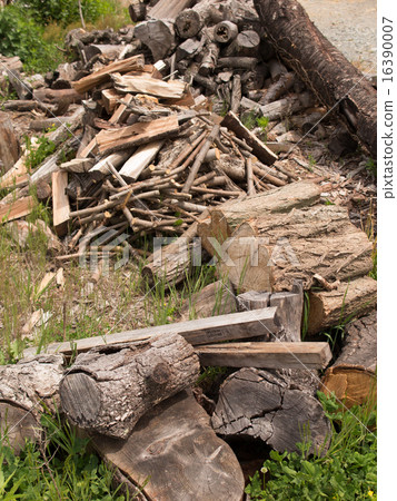 Stacked firewood 16390007