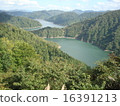 Tagokurako 16391213