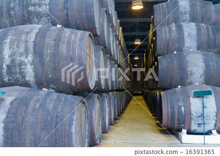 cellar with wine barrels 16391365