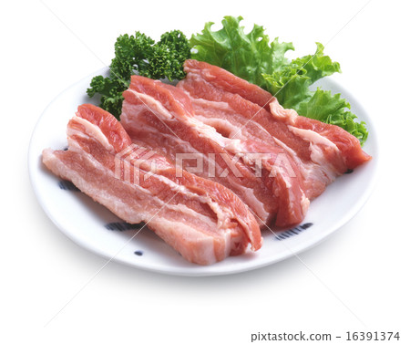 用於豬肉南瓜 16391374