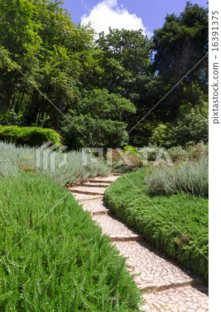Gardens of Pena, SIntra, Portugal 16391375