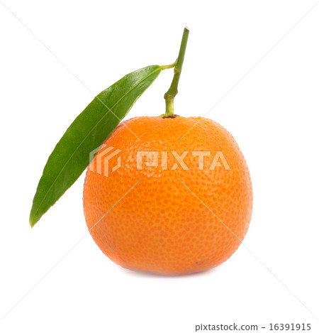 Orange mandarin Orange mandarin 16391915