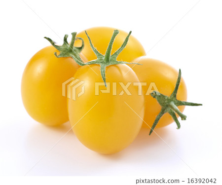 4個黃色的小西紅柿 16392042