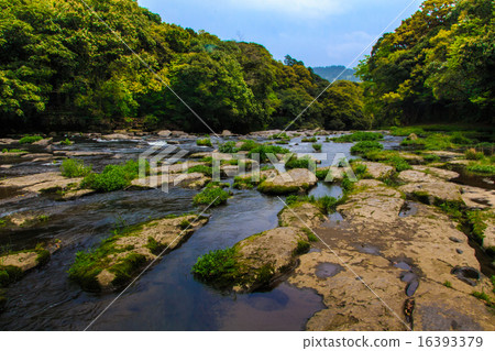 A faucet in the fish of the fresh green 16393379