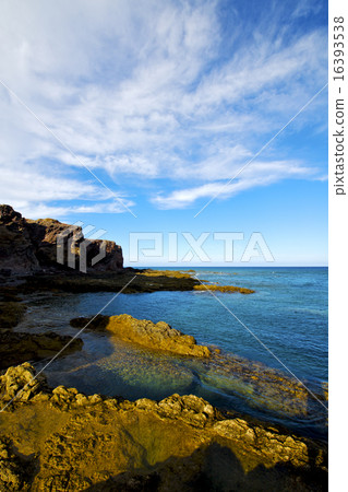 beach  light  water   lanzarote  foam   16393538
