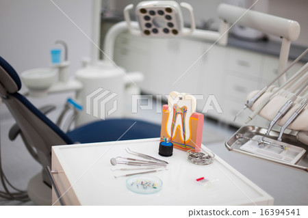 Tooth anatomy, bright colorful tone concept 16394541