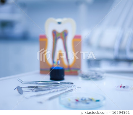 Tooth anatomy, bright colorful tone concept 16394561