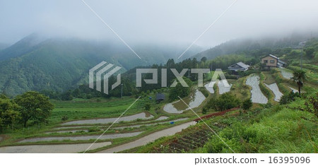 和歌山縣田邊市中河路町桐之里高原 16395096