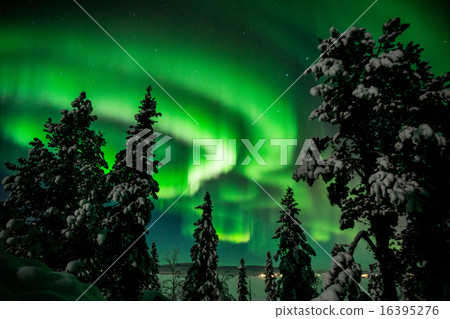 Aurora Aurora 16395276