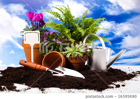 Gardening tools, vivid bright springtime concept 16395690