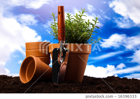 Set of garden tools, vivid bright springtime Set of garden tools, vivid bright springtime 16396333