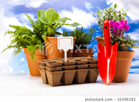 Set of garden tools, vivid bright springtime Set of garden tools, vivid bright springtime 16396385