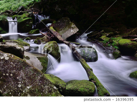 Mountain stream 16396395