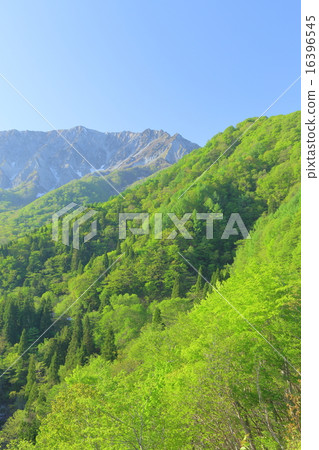 Tottori ken Summer Daisen Tottori ken Summer Daisen 16396545