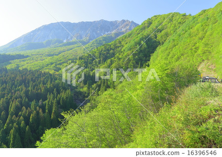 Tottori ken Summer Daisen Tottori ken Summer Daisen 16396546