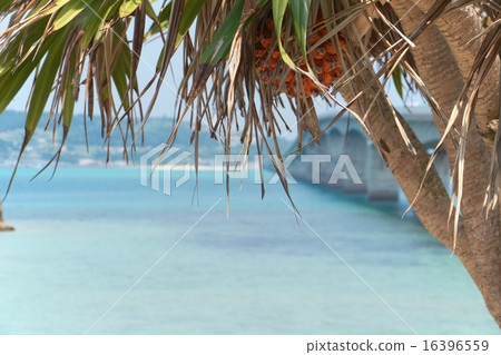 Koryi Island 16396559