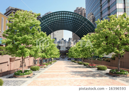 惠比壽花園廣場 16396593
