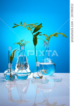 Chemical laboratory glassware, bio organic modern Chemical laboratory glassware, bio organic modern 16396832