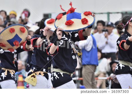 東北Rokuban節 東北Rokuban節 16397303