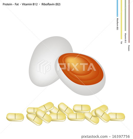 Preserved Egg with Protein, Fat, Vitamin B12 16397756