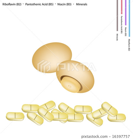Chestnut Mushrooms with Vitamin B2, B5 and B3 16397757