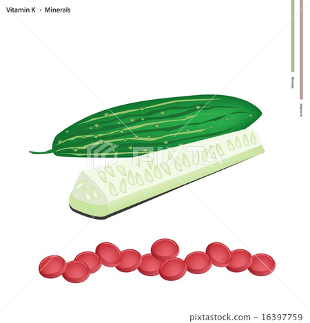 Fresh Marrow with Vitamin K and Minerals Fresh Marrow with Vitamin K and Minerals 16397759