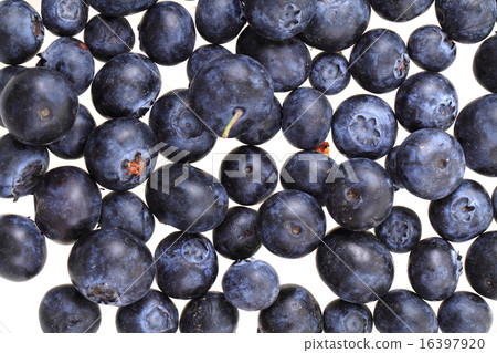 blueberries isolated blueberries isolated 16397920