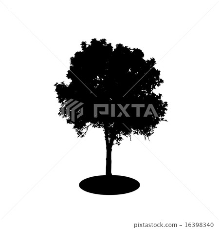 Tree Silhouette Isolated on White Backgorund. Vector Illustration 16398340