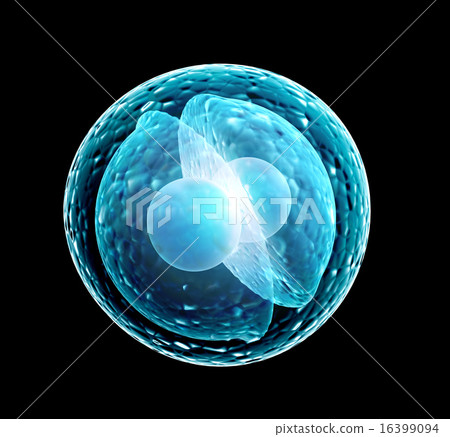 Division of cell Division of cell 16399094