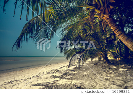 Beautiful summer landscape 16399821