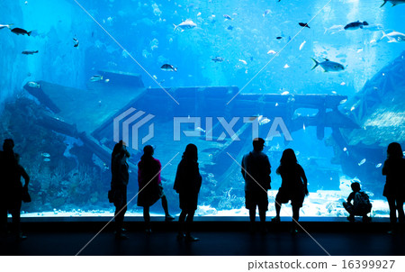 Large Aquarium in Singapore 16399927