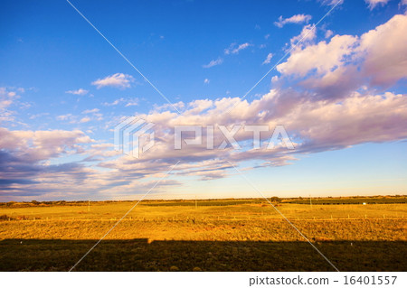 Xilinguole grassland scene 16401557