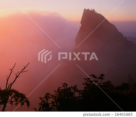 Morning fog 16401665