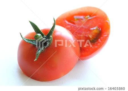 Tomato   16403860