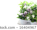 草藥和鮮花 16404967