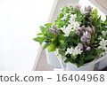 草藥和鮮花 16404968