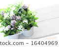草藥和鮮花 16404969