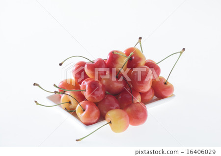 櫻桃,櫻桃 櫻桃,櫻桃 16406029