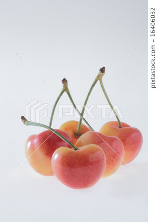 櫻桃，櫻桃 16406032