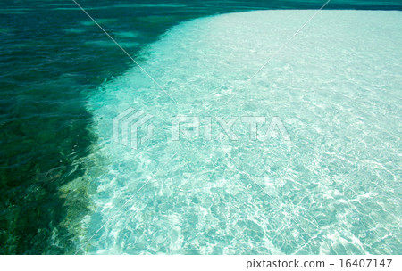 tropical sea 16407147