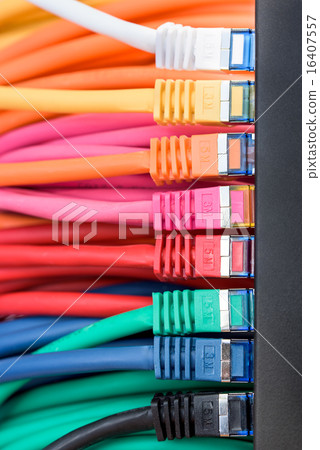 Network Network 16407557