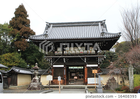 Umenomiya Taisha 16408393