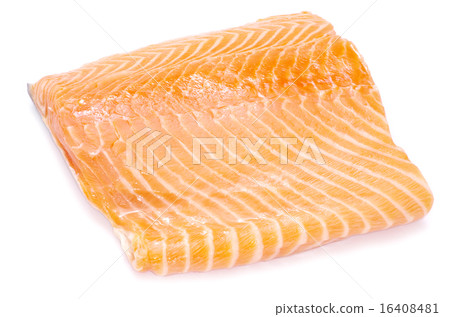 salmon 16408481