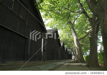 The tree-lined avenue of Yamae warehouse 16408631