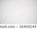 Uyuni salt lake   16409249