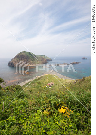 Two-turtle on Sado Island Two-turtle on Sado Island 16409353